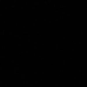 Meet your Posher, Coco